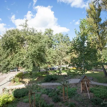Apartment Olszowa 14 By The River